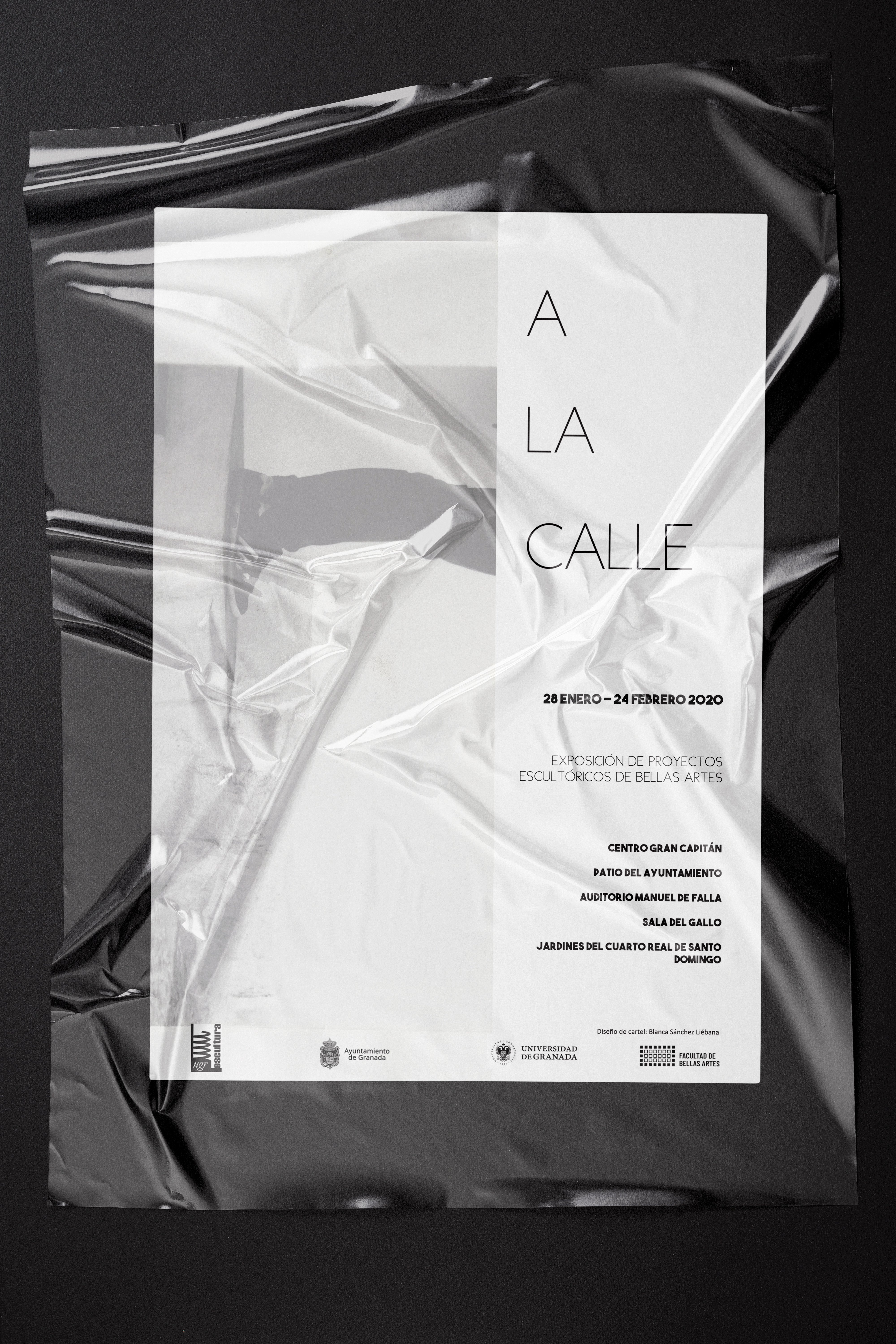 Imagen de portada de Exposición »A LA CALLE 20»