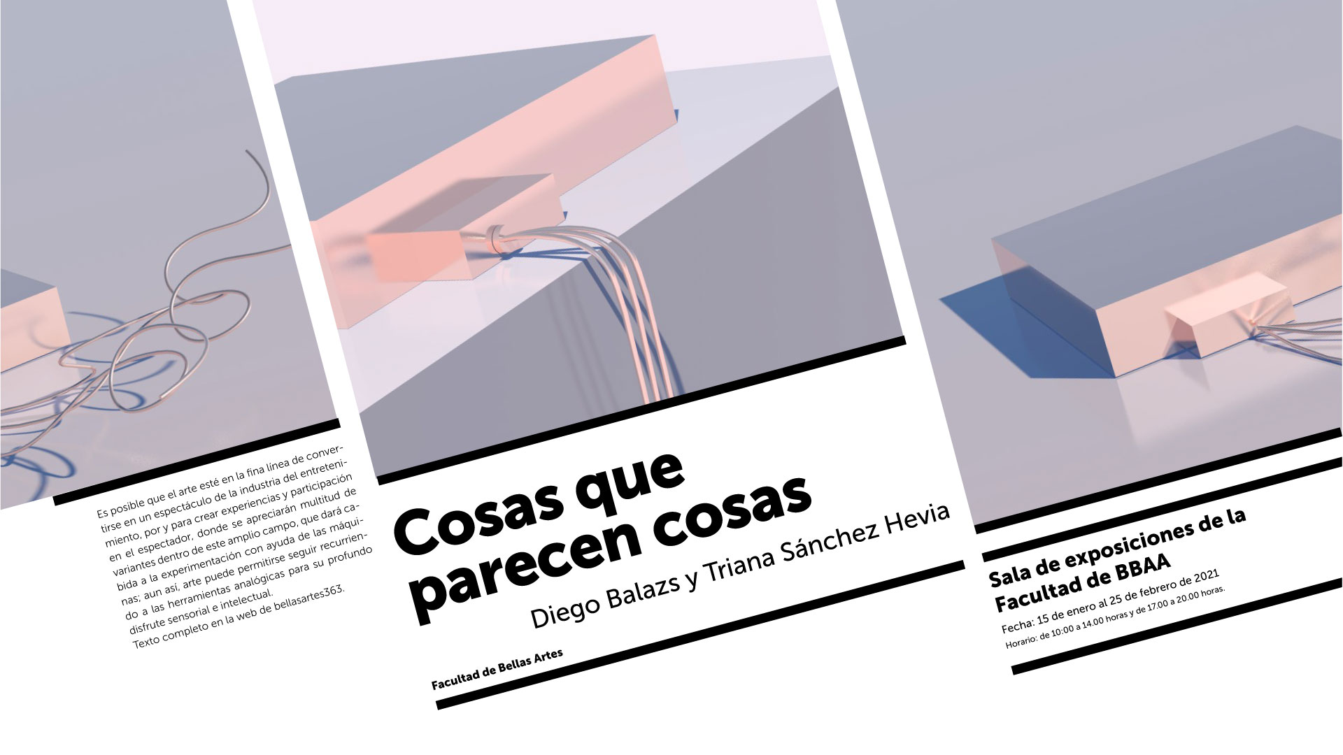 Imagen de portada de Exposición «Cosas que parecen cosas» de Diego Balazs y Triana Sánchez Hevia